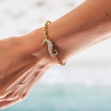 Load image into Gallery viewer, CZ Seahorse 14k bracelet