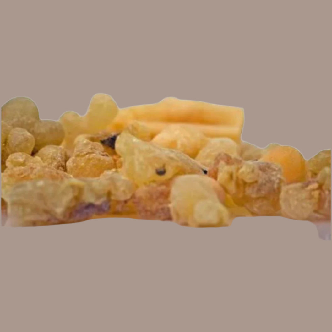 Frankincense Carterii Essential Oil 10ml