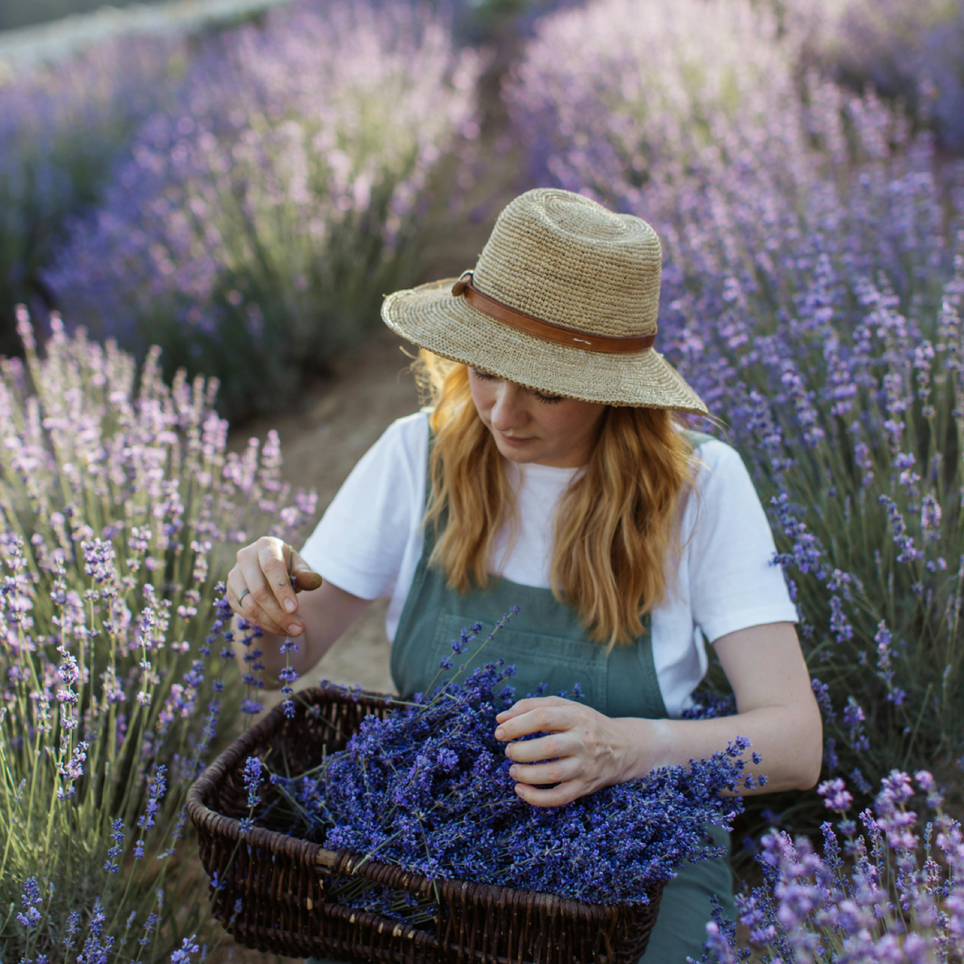 Australian Lavender 10ml