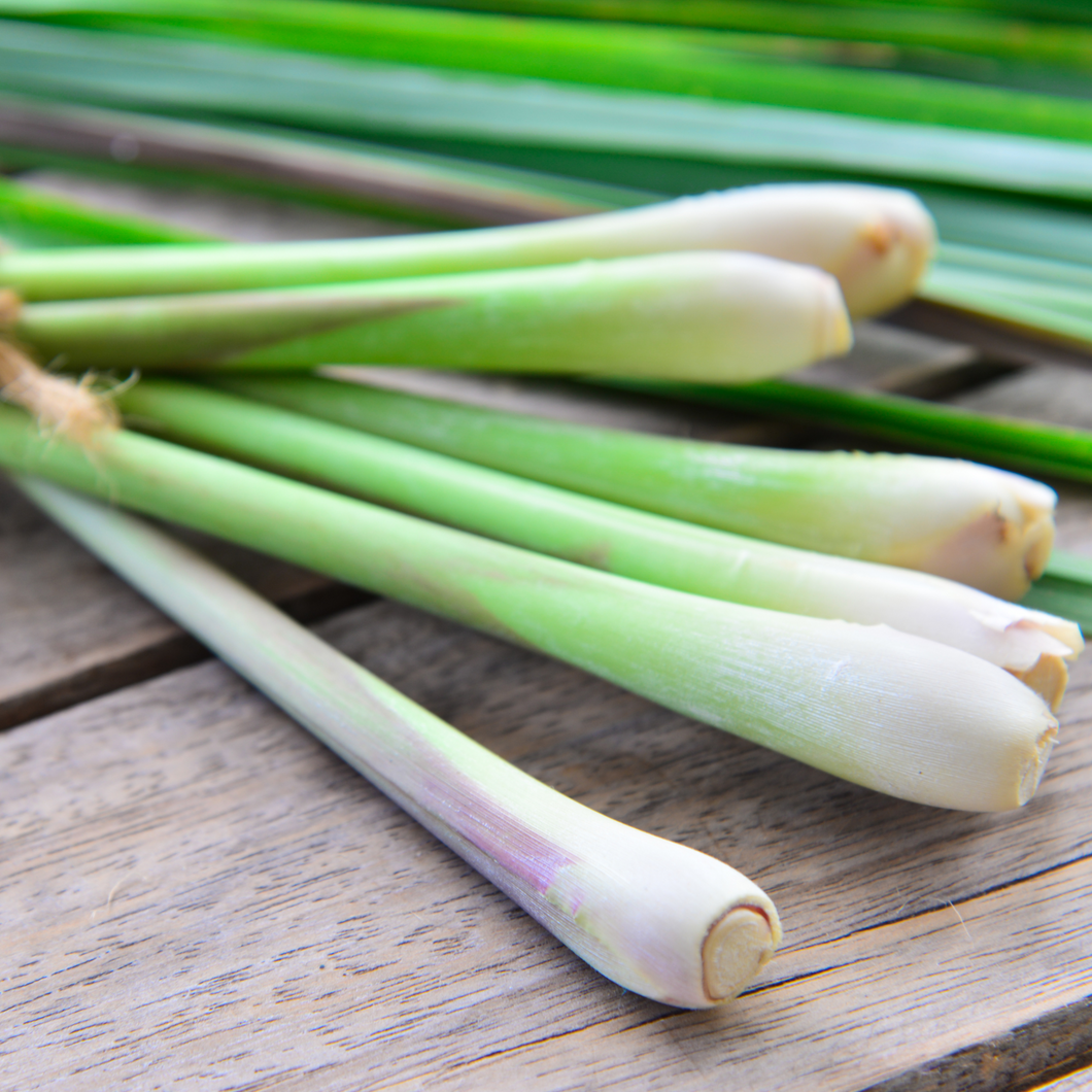 Lemongrass Essential Oil 10ml